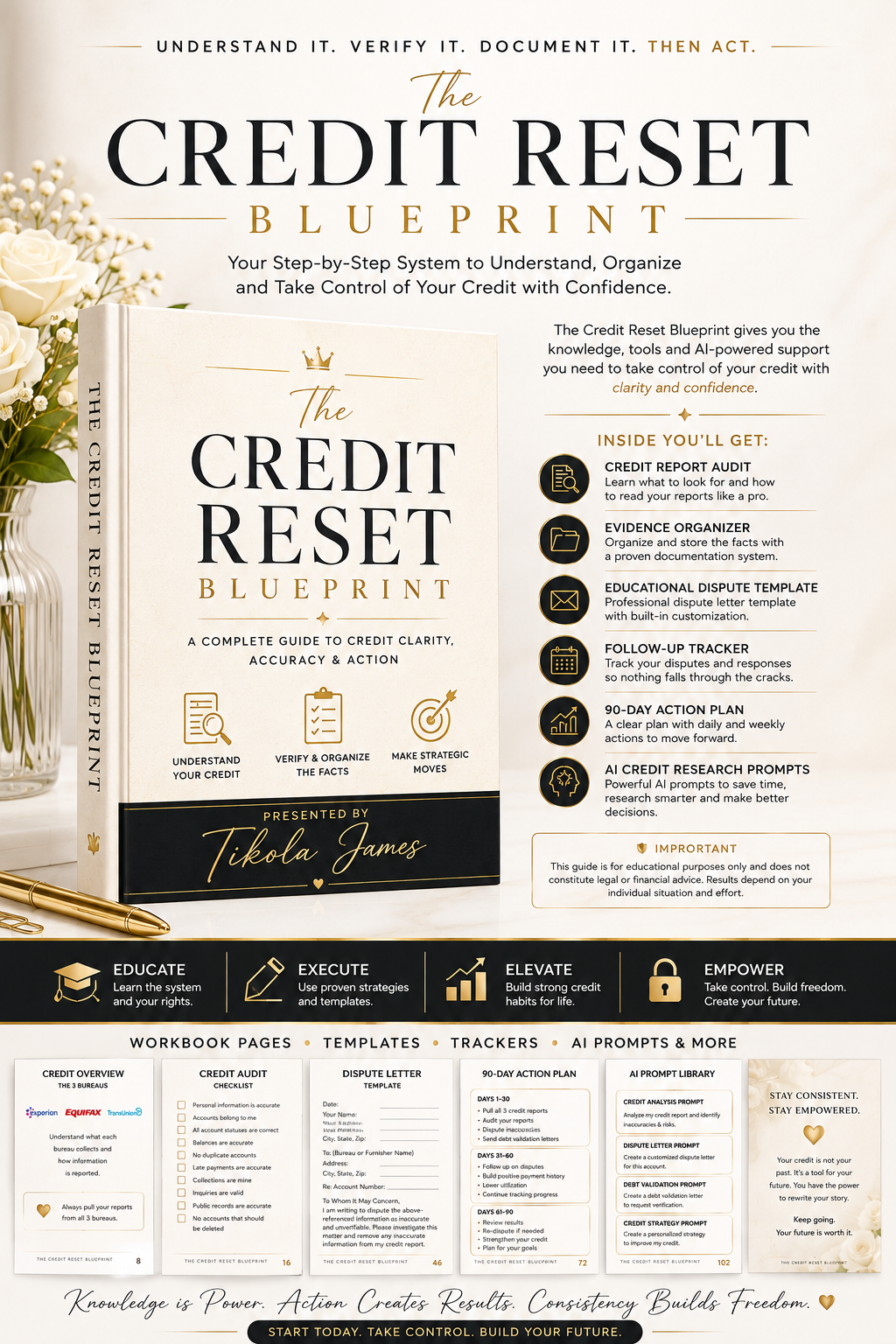 The Credit Reset Blueprint