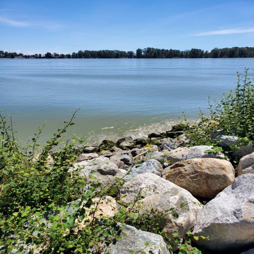 Kathlinehealingpathway